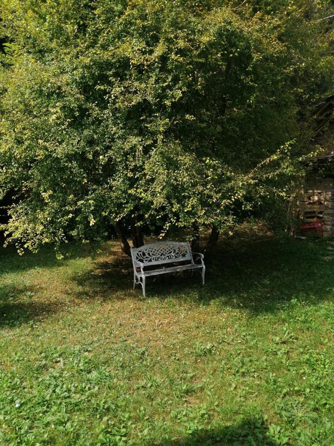 Bed and Breakfast A Casa di Anna Cortemilia Esterno foto
